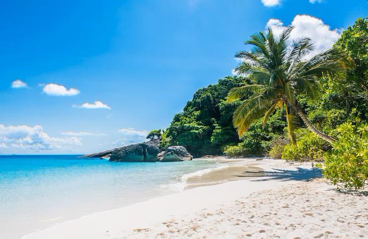 97 Caption tentang Pantai dalam Bahasa Inggris