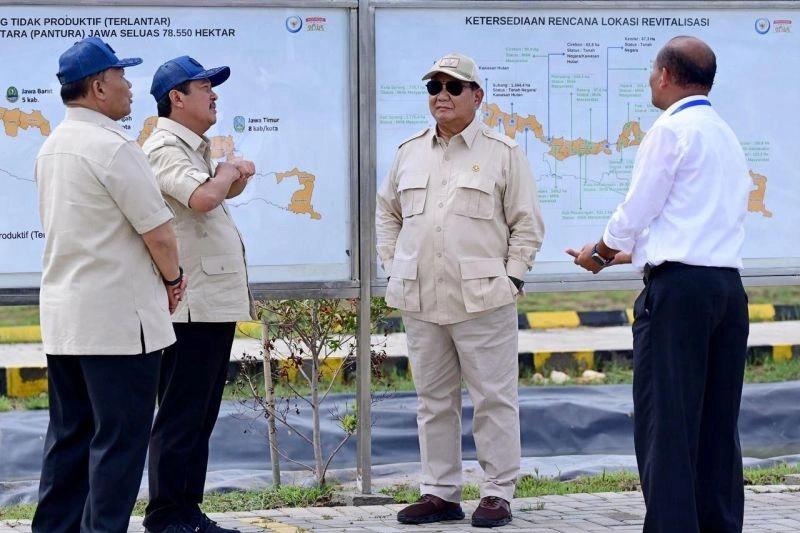 Bidik Produksi 100 Ton per Hektar, Presiden Tebar Benih Ikan Nila Salin di Karawang