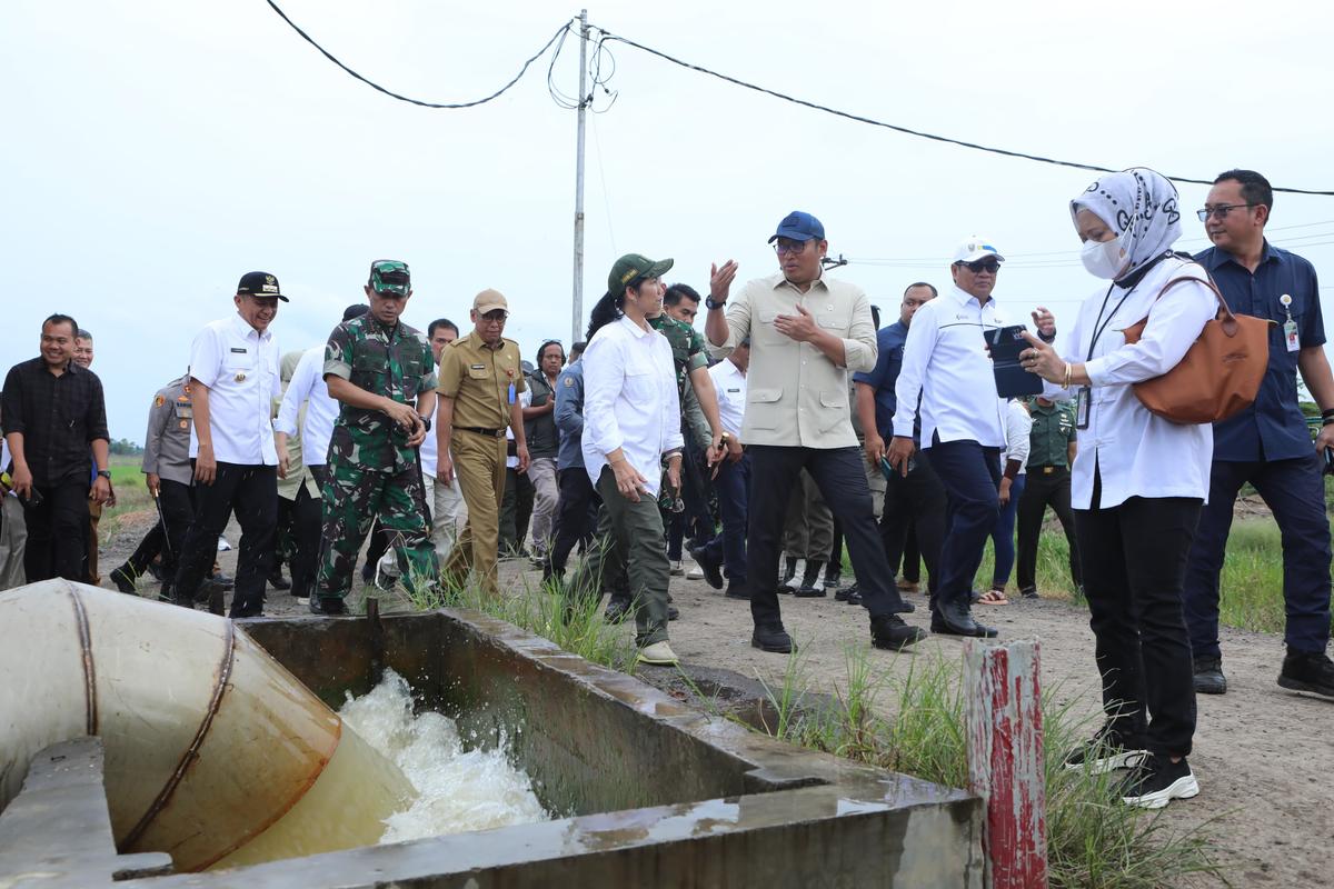 Wamentan Sudaryono Dorong Optimasi Lahan Rawa Capai 106 Ribu Hektar Dan 150 ribu Hektar Cetak Sawah Baru di Sumsel