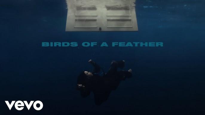 Lirik dan Makna Lagu "Birds of a Feather" Billie Eilish