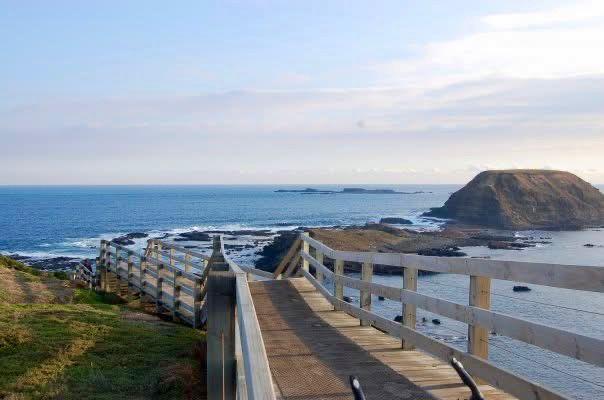 Selain untuk Sirkuit Balapan Kelas Dunia, Ini Objek Wisata Terbaik di Phillip Island