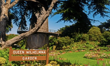 Pesona Queen Wilhelmina Garden, Surga Tulip di San Francisco