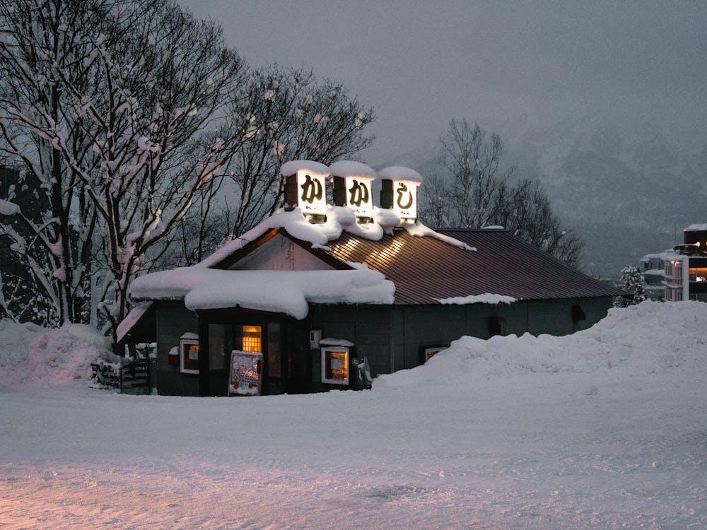 Panduan Wisata Hokkaido untuk Keluarga dan Introvert