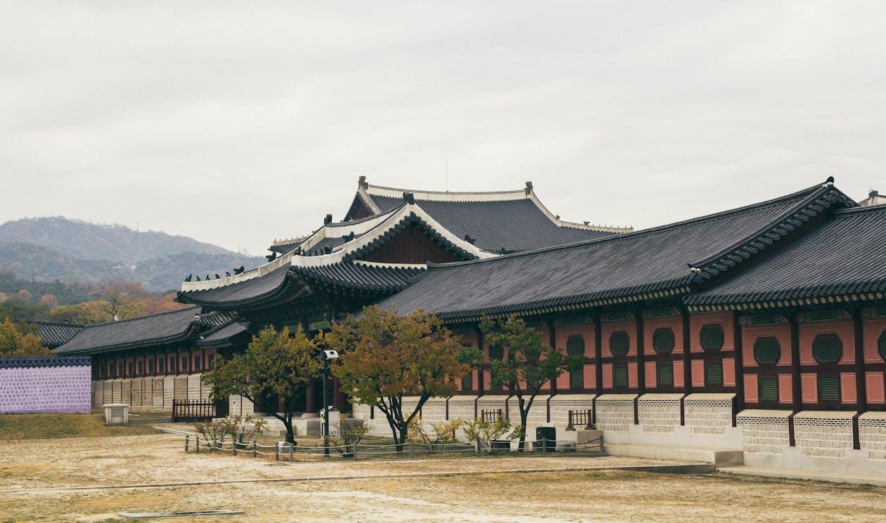 Kapan Waktu Terbaik untuk Mengunjungi Korea Selatan? Yuk Simak Jawabannya di Sini!