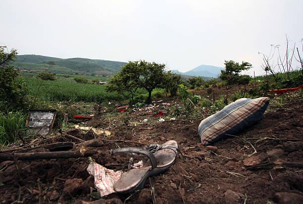 Pesawat Ringan Jatuh di Hutan Jalisco, Tewaskan 7 Orang