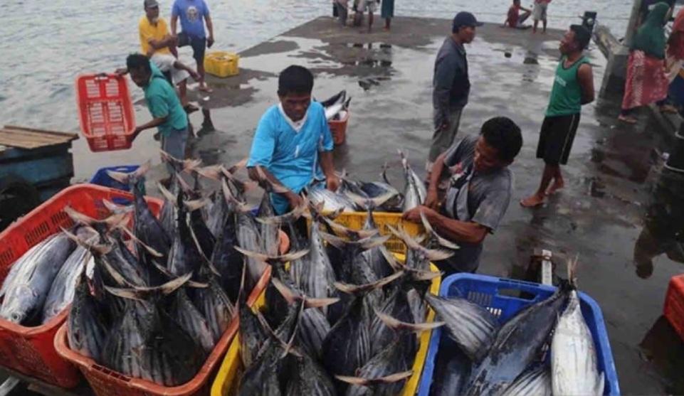 Hingga Desember, Segini Realisasi Bantuan Sektor Perikanan Tangkap