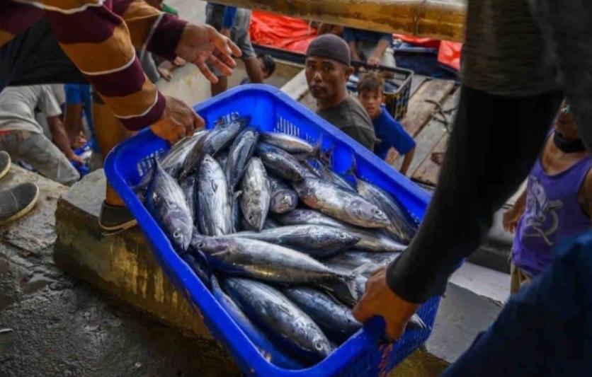 PNBP Perikanan Tangkap Setor Penerimaan Negara Sebesar Rp966 Miliar