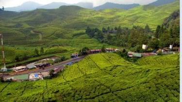Razia Pak Ogah di Jalur Wisata Puncak, 15 Orang Diamankan