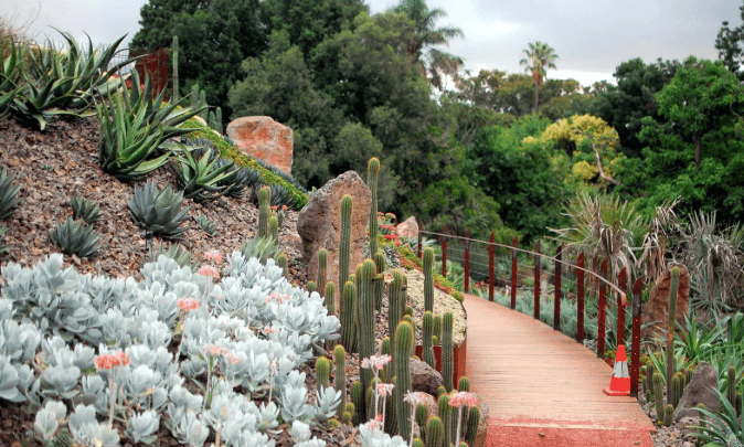 Guilfoyle’s Volcano: Perpaduan Seni, Sains, dan Alam di Melbourne