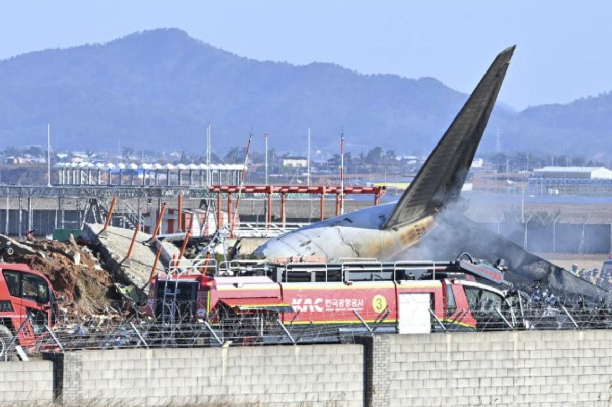 Pilot Jeju Air Sempat Terima Peringatan ‘Bird Strike’ Sebelum Kecelakaan Maut