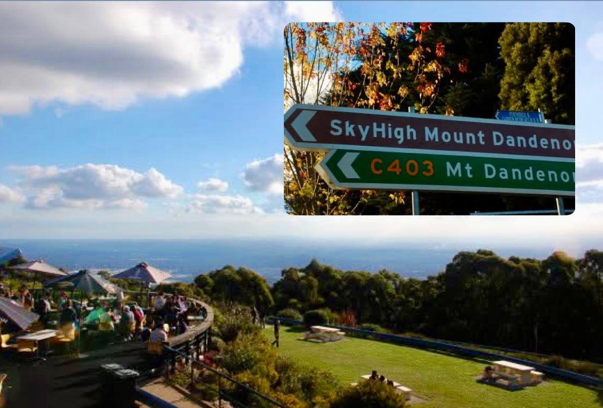 Hanya Satu Jam dari Melbourne CBD, Ini Spot Wisata Menarik di Mount Dandenong