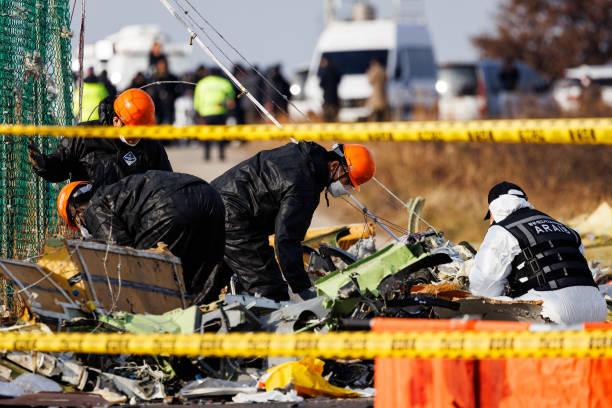 Investigasi Jeju Air Jatuh, Diduga Akibat Tabrakan dengan Burung