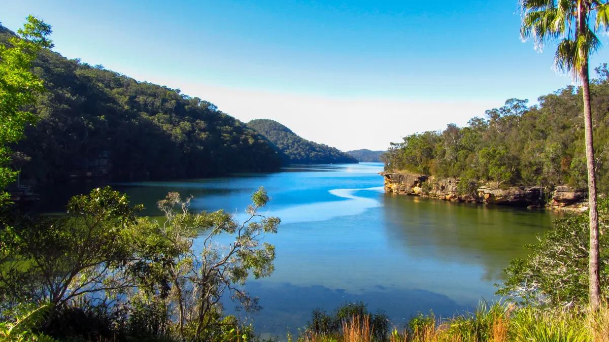 Ku-ring-gai Chase National Park: Destinasi Wisata Alam di Sydney