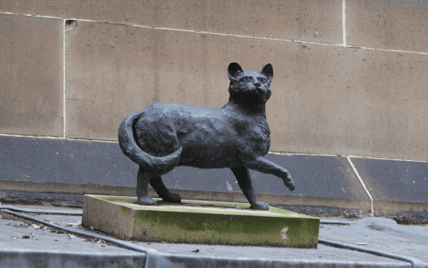 Patung Trim, Kucing Setia Matthew Flinders yang Melegenda