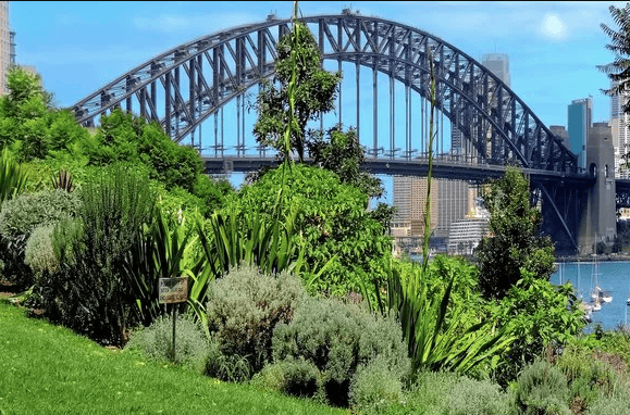 Wendy Whiteley’s Secret Garden, Oase Indah di Tengah Kota Sydney