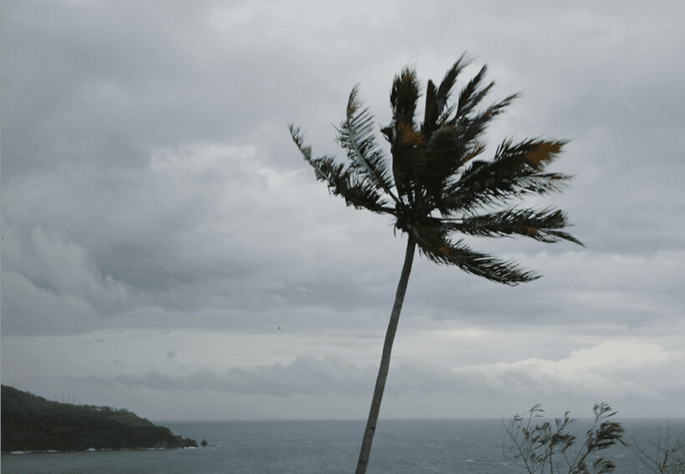 Angin Kencang di Bogor, 3 Rumah Rusak dan 1 Orang Warga Terluka