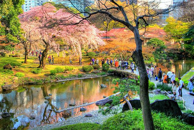 Menelusuri Koishikawa Korakuen: Taman Jepang Terindah di Tokyo