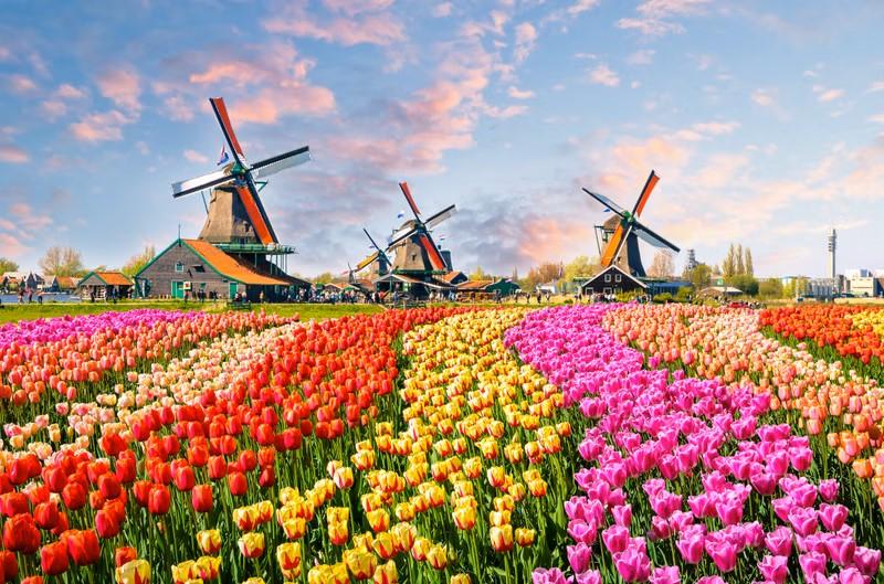 5 Taman Terindah di Belanda yang Mempesona