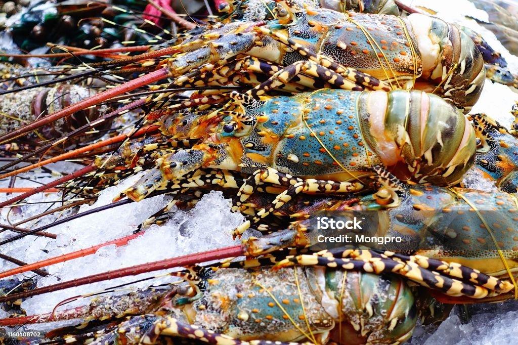 Festival Makanan Unik di Seluruh Dunia