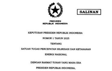Resmi Dibentuk Presiden, Ini Daftar Pengurus Satgas Percepatan Hilirisasi