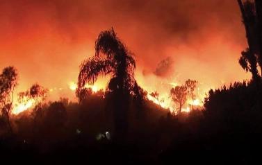 Kebakaran Los Angeles Hanguskan Saham Perusahaan Asuransi AS