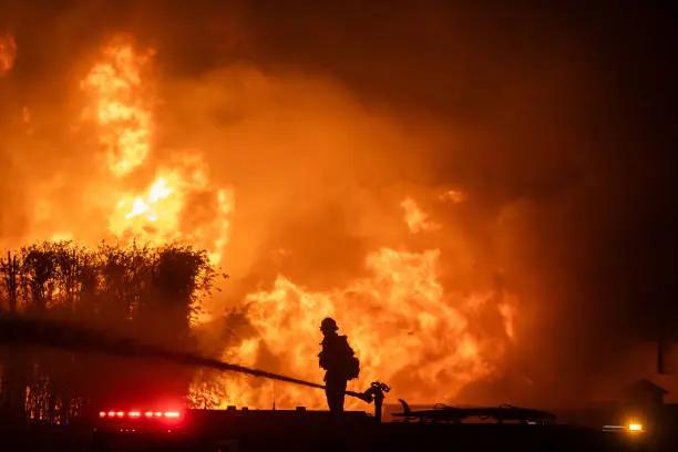 Bertambah! Kebakaran Hebat di Los Angeles Tewaskan 16 Orang dan Hancurkan Ribuan Bangunan