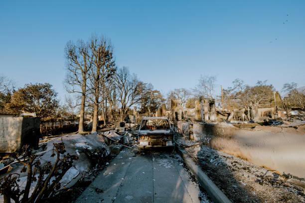 Kebakaran Los Angeles Terus Membara, 24 Korban Tewas!