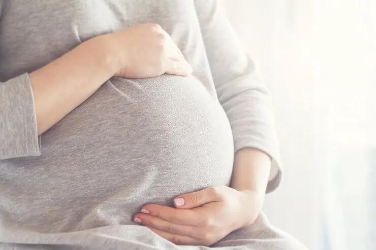 Pengamat Usul Makan Bergizi Gratis buat Ibu Hamil Ditambah Asam Folat