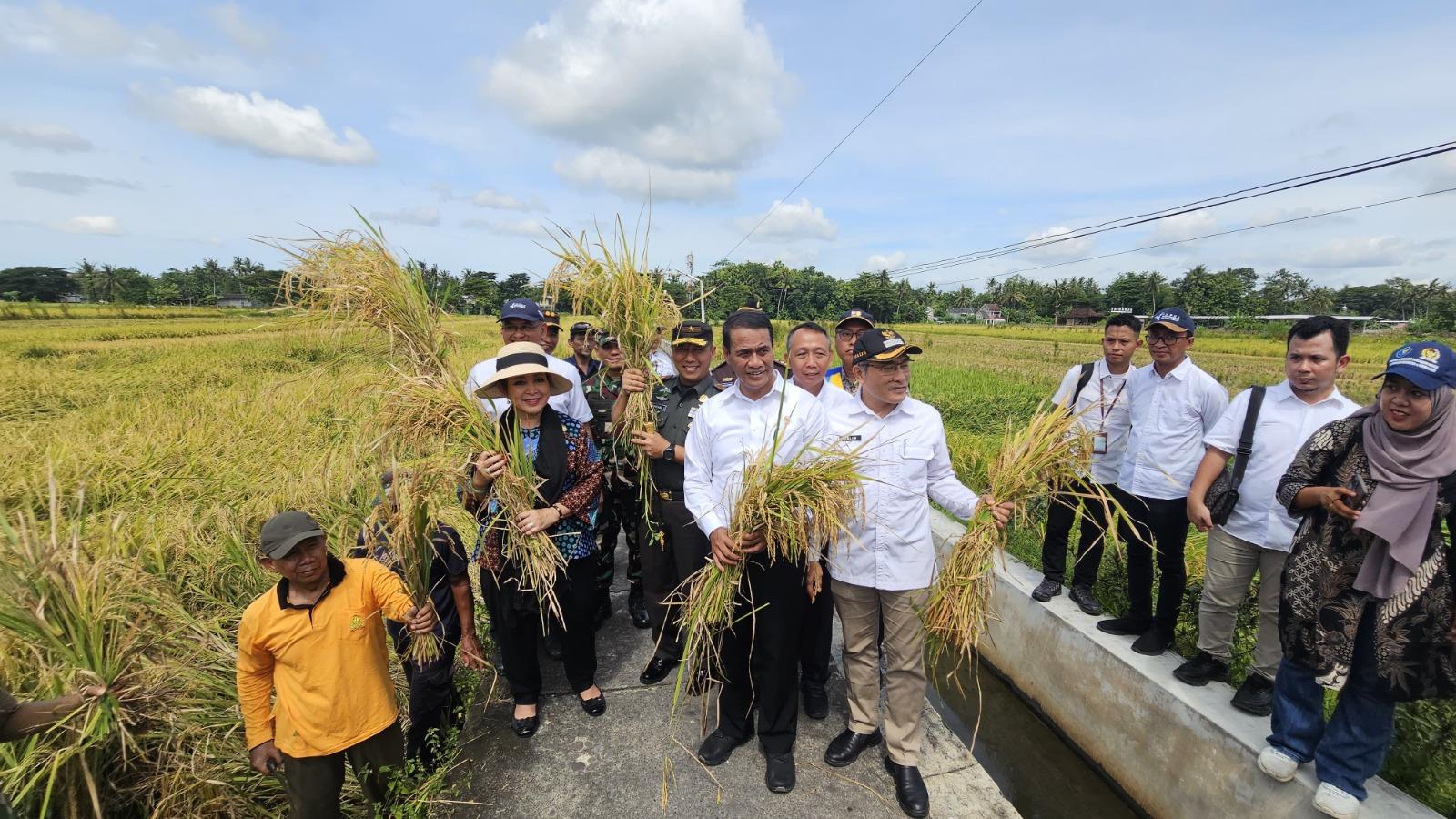 Ketua Komisi IV: Harga Gabah Anjlok di Jogja, Titiek Soeharto Semprot Bulog Harga Rp5500