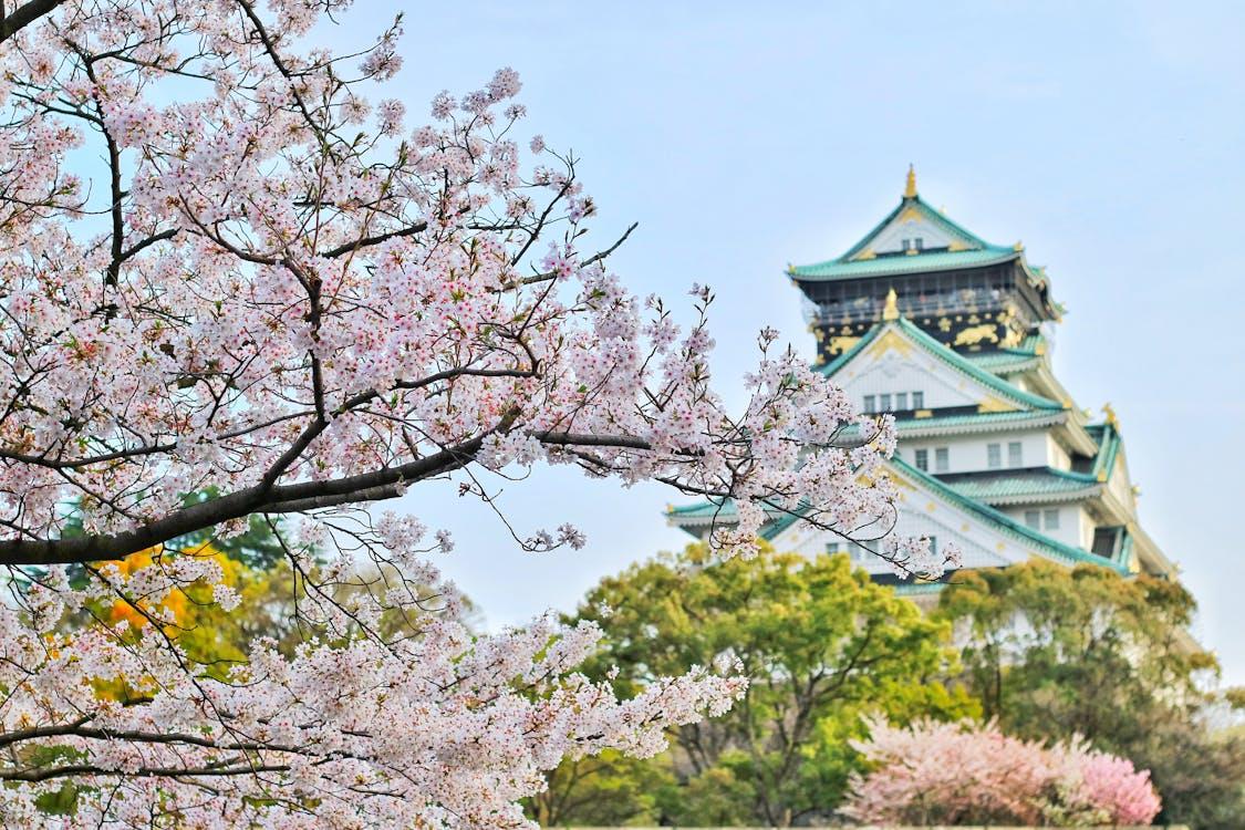 Jepang, Negara Teraman di Asia untuk Wisatawan pada 2025
