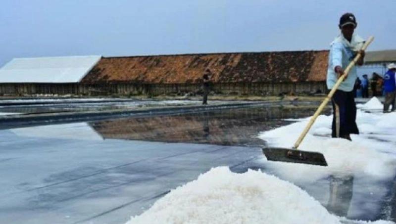 Naik Signifikan, Sumenep Produksi Garam Rakyat Sebanyak 146,8 Ribu Ton