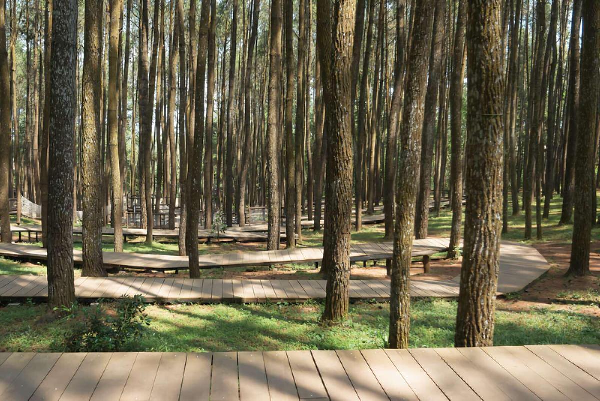 5 Destinasi Wisata yang Jadi Lokasi Syuting Film Horor