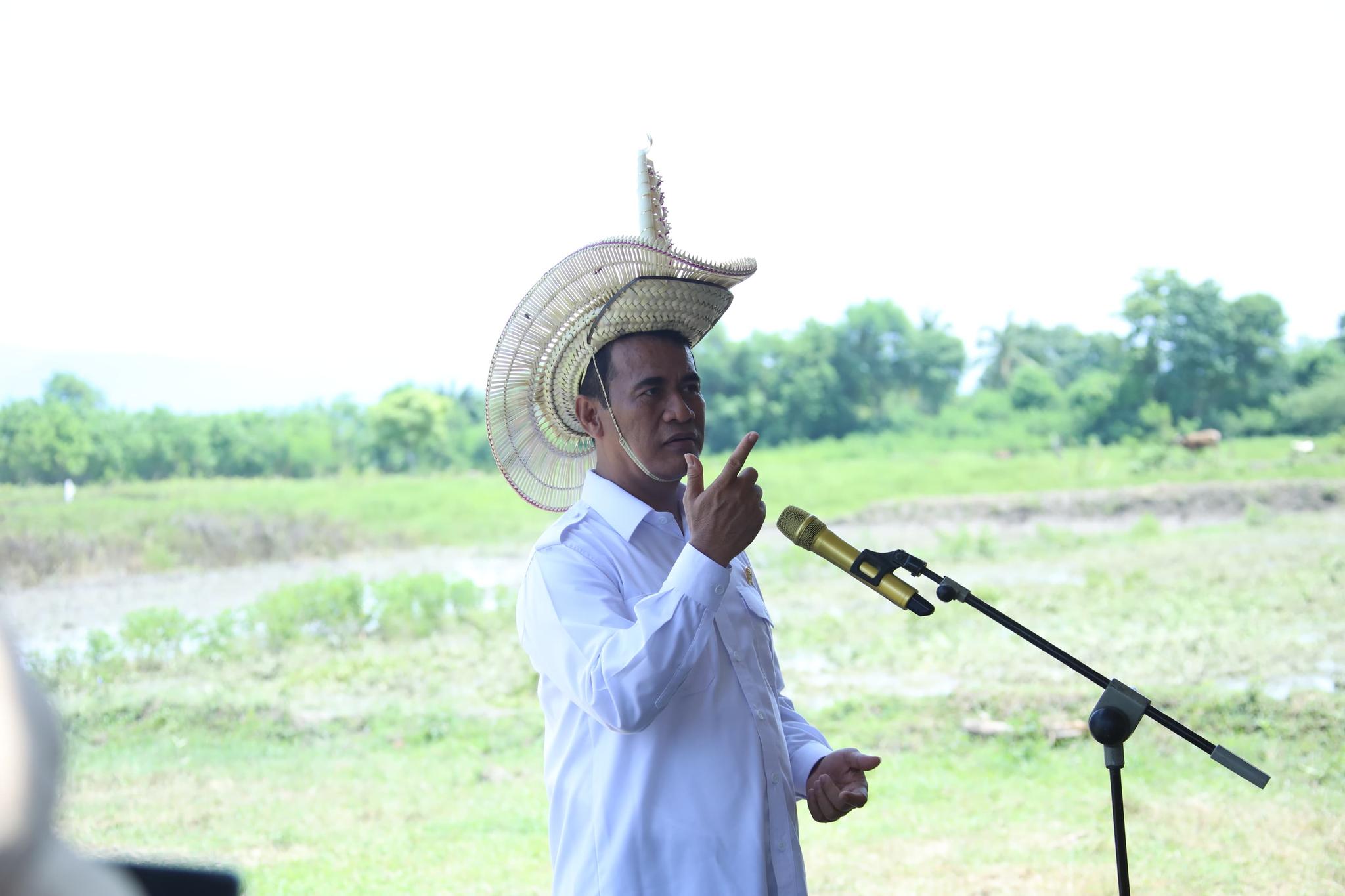 Mentan Panggil Importir Singkong: Petani Singkong Tidak Boleh Dizalimi