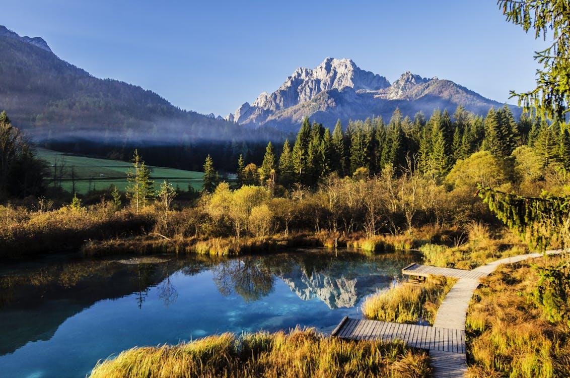 Menikmati Pesona Alam Slovenia: Dari Danau Hijau Zamrud hingga Puncak Alpen