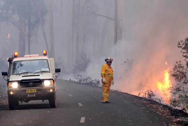 Cuaca Ekstrem di Melbourne, Kebakaran Hutan Jadi Ancaman Serius