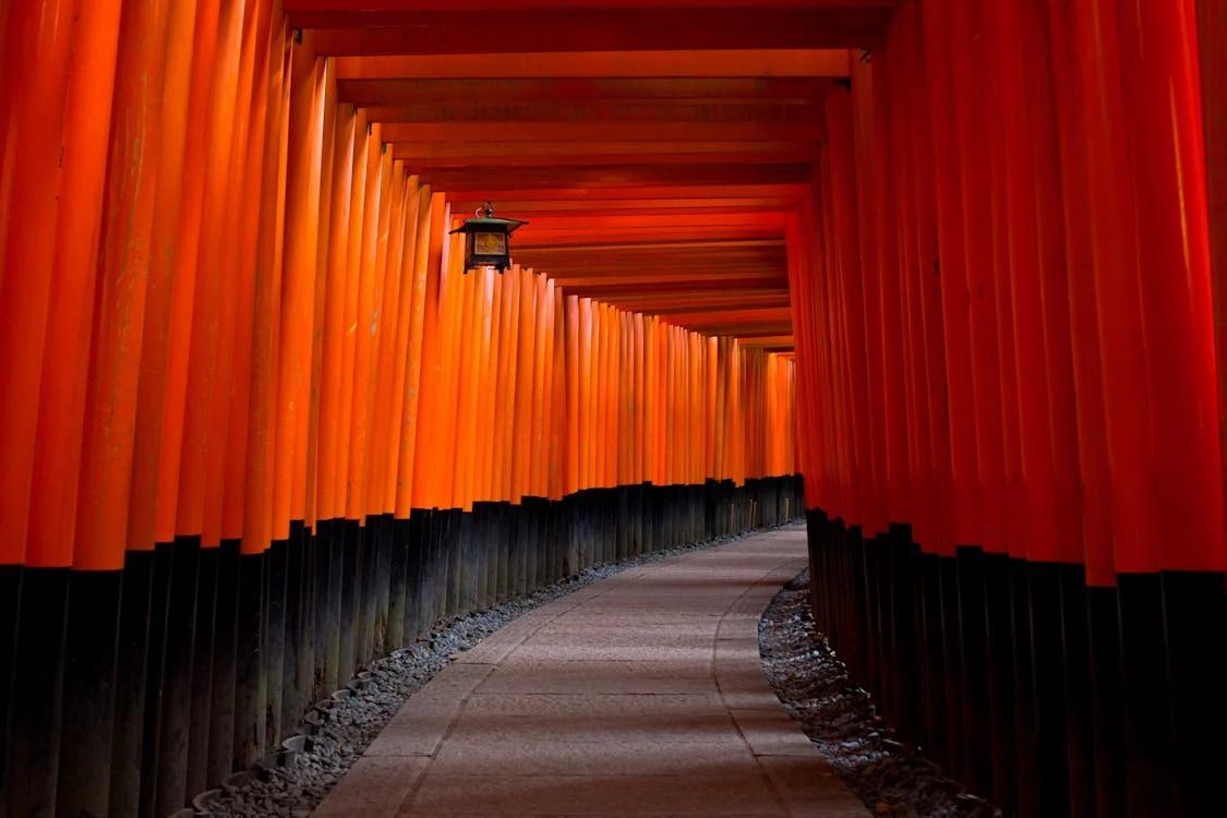 10 Kesalahan Umum Wisatawan di Jepang dan Cara Menghindarinya