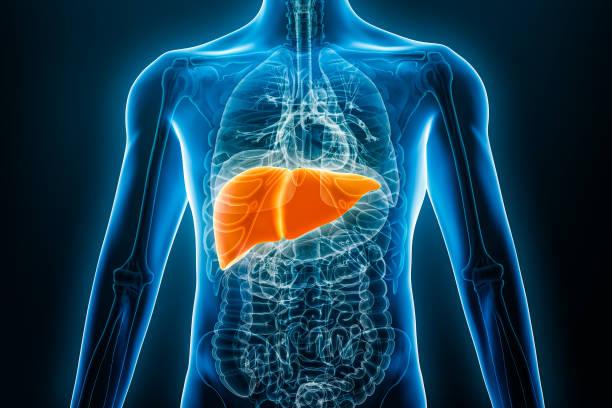 Begini Cara Menjaga Organ Hati di Tengah Produktivitas Padat