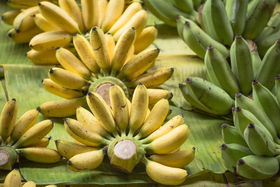 9 Manfaat Luar Biasa Pisang Muli untuk Kesehatan Tubuh dan Otak