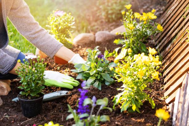 Peneliti : Berkebun Bisa Bikin Umur Panjang. Ini Penjelasannya!