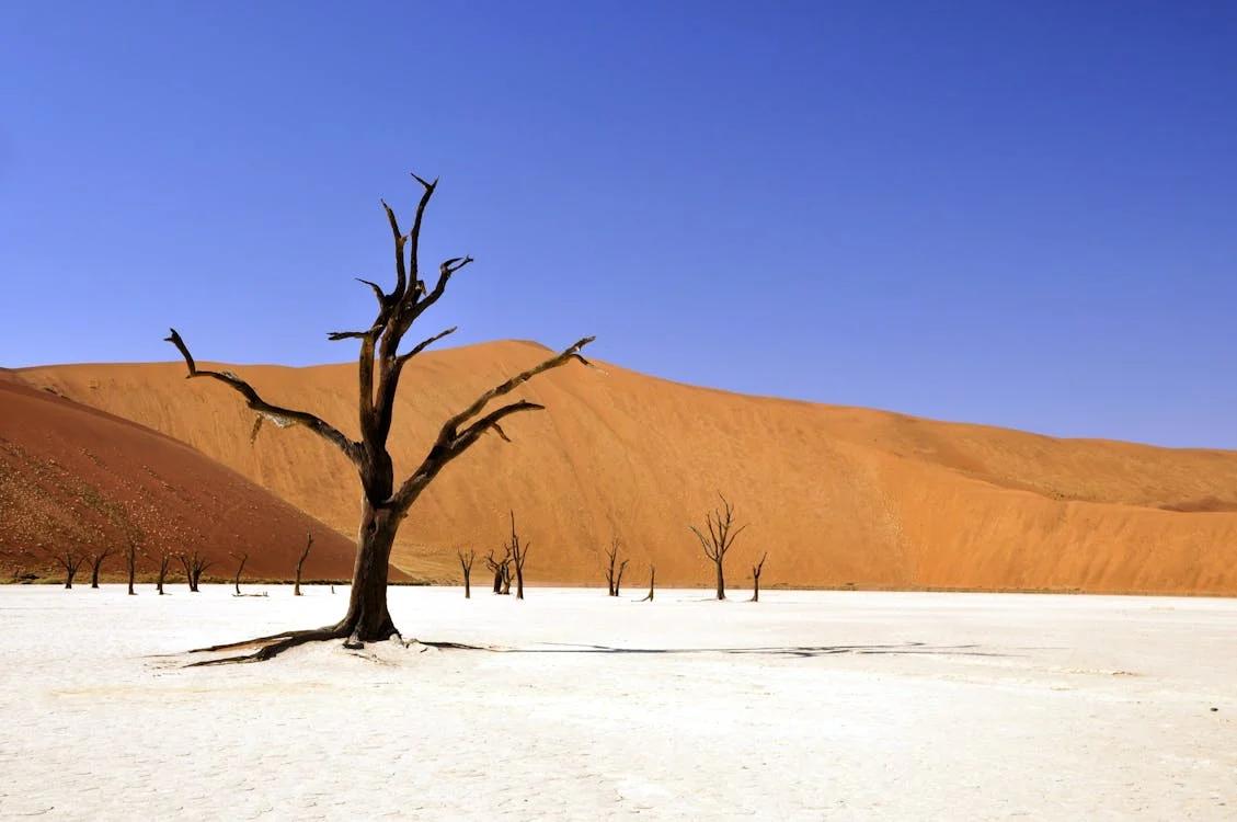 11 Tempat Terbaik di Namibia untuk Pengalaman yang Tak Terlupakan