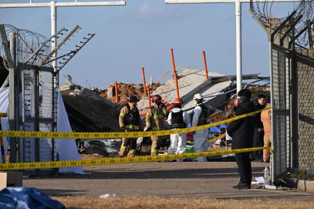 Korea Selatan Siapkan Sistem Pendeteksi Burung Pascatragedi Maut Jeju Air