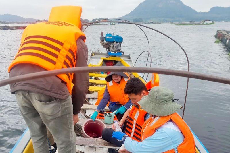KKP Selidiki Penyebab 100 Ton Ikan Mati Massal di Waduk Jatiluhur