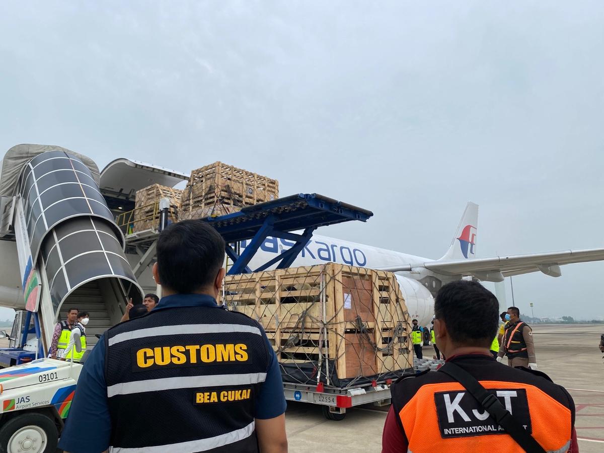 Dukung Ketahanan Pangan Nasional, 834 Ekor Bibit Domba Didatangkan dari Australia