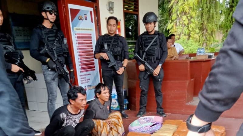 Mobil Boks Bawa 500 Kg Ganja Diamankan Polisi di Pasaman Barat Sumbar