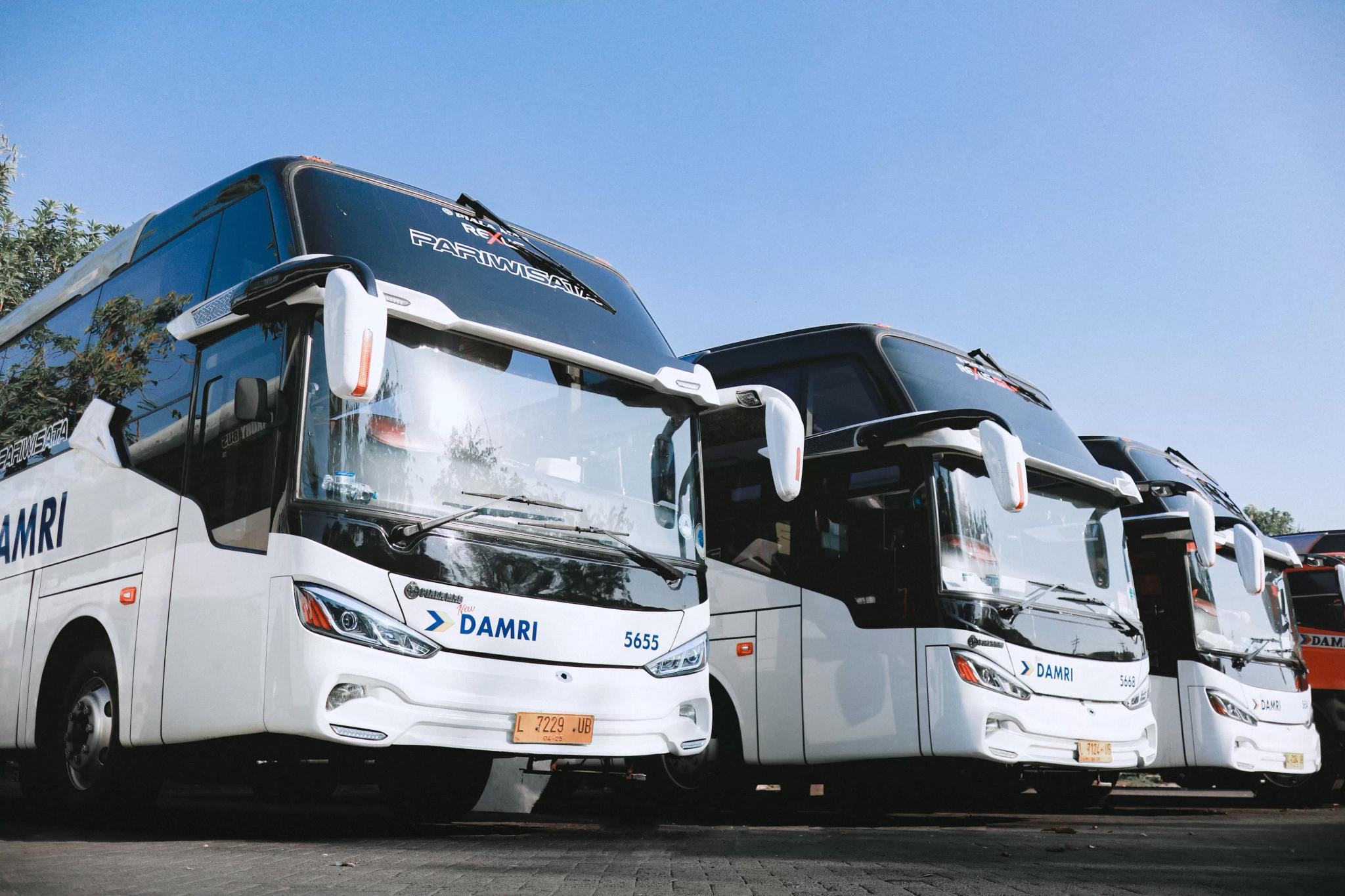 Harga Turun 10 Persen, Damri Buka Pemesanan Tiket Angkutan Lebaran 2025