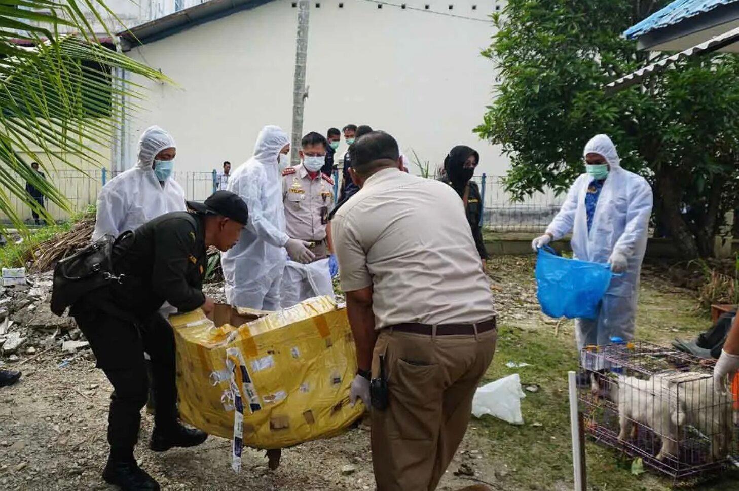 Bea Cukai Langsa Aceh Musnahkan Hewan dan Tumbuhan Impor Ilegal