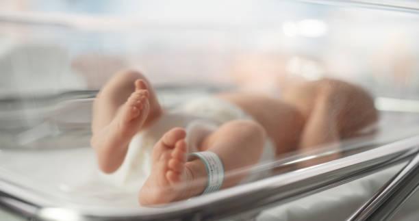 Lima Bayi Baru Lahir di Gaza Meninggal Akibat Cuaca Dingin