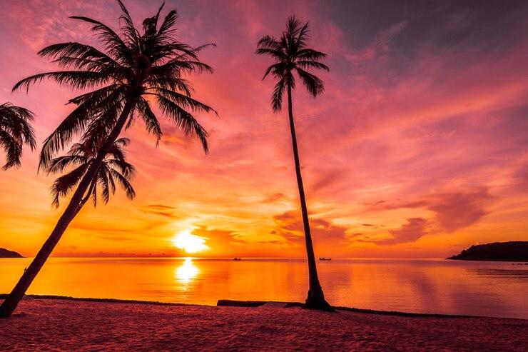 3 Destinasi Sunset Terindah di Amerika Serikat