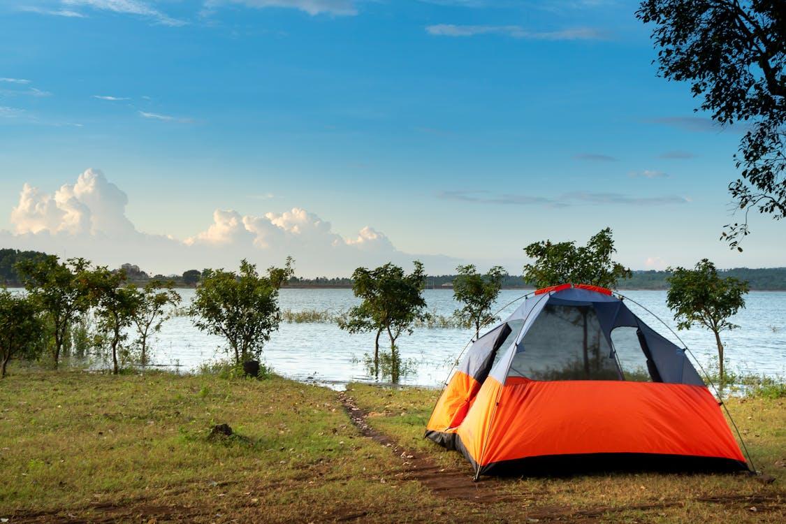 California, Destinasi Camping Terbaik di Amerika Serikat dengan Pesona Alam yang Memukau
