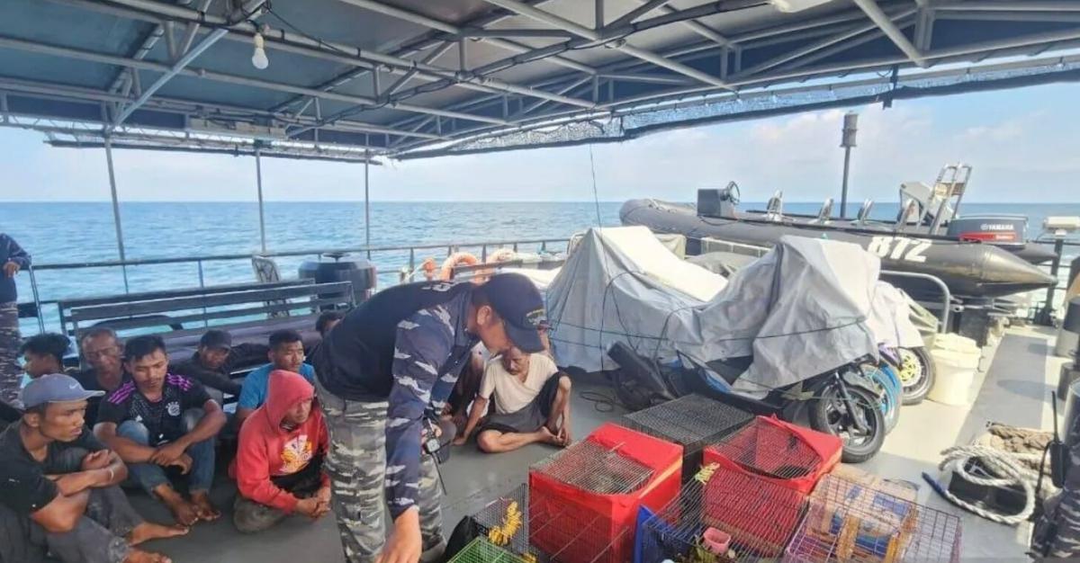 TNI AL Gagalkan Penyelundupan PMI Ilegal dan Satwa yang Dilindungi